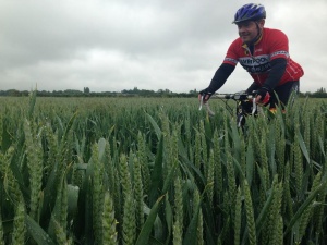 image136.jpg